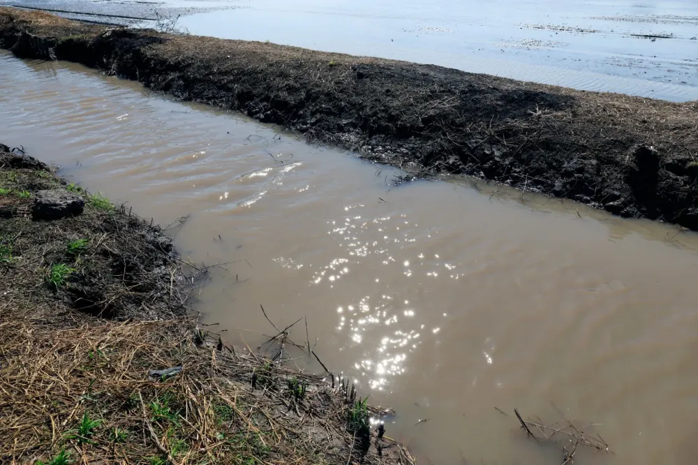 Drainage terrain à Biscarrosse